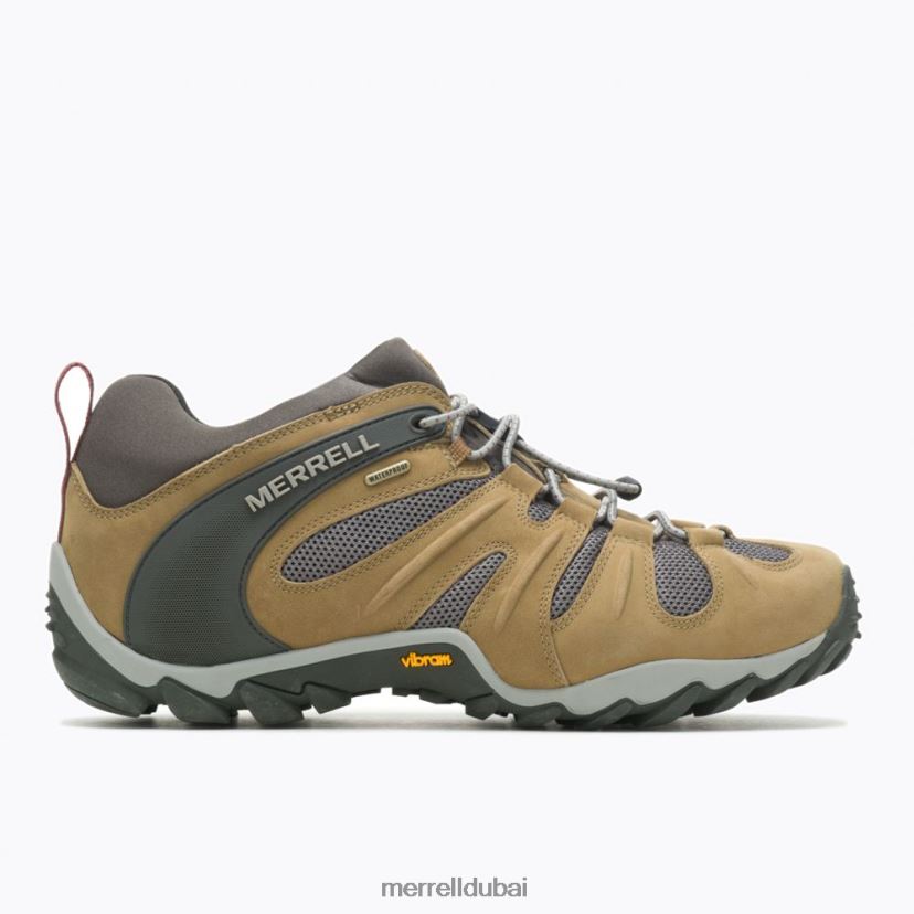 Merrell الحرباء 8 تمتد للماء (j500017) Z2ZJ82183 الجوز